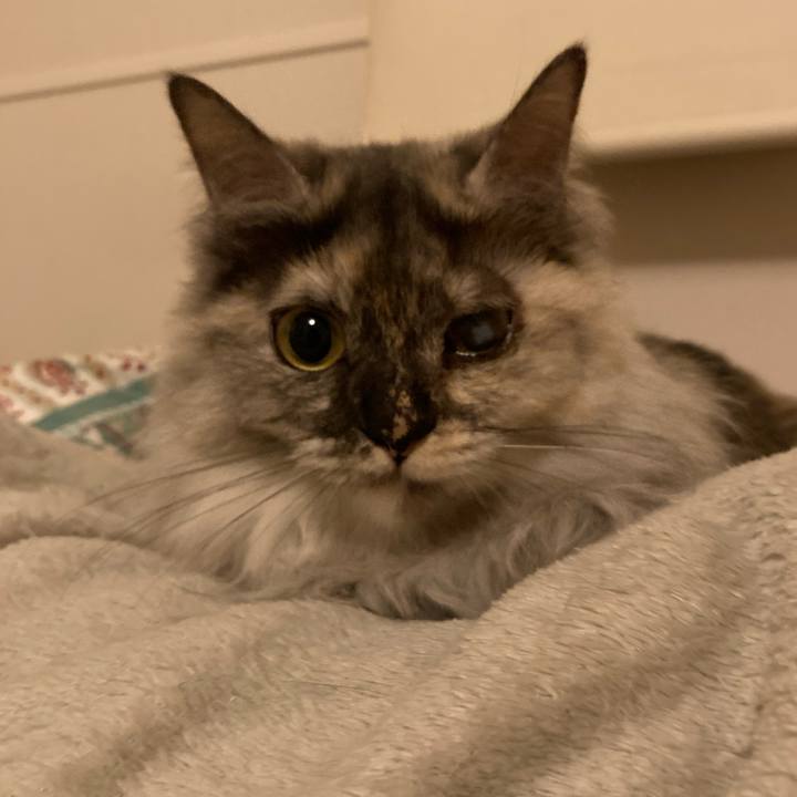 03d6340f ef75 4b3d 9c90 9499f393970b 1743563154563