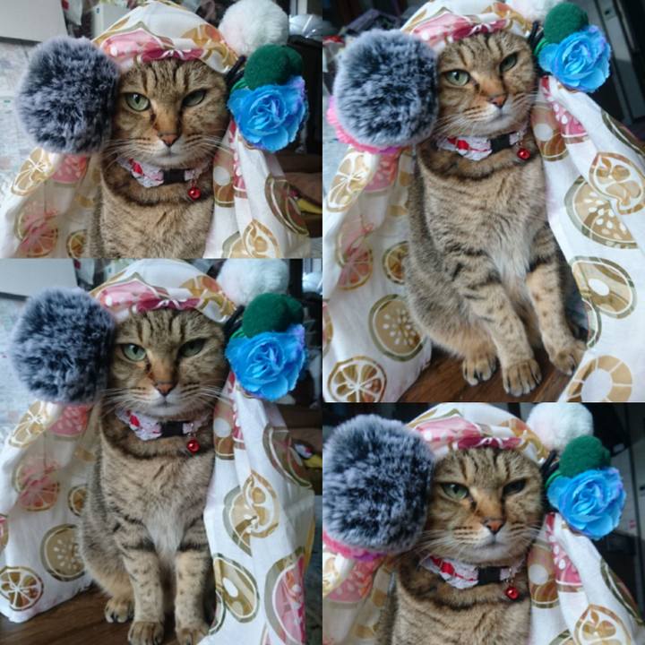 03d636b3 3d2b 4974 9896 c0901a03e2e3 1765671249730