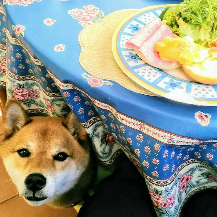 03d644bb 3365 4cf2 b52c 556f30dffe4c 1564969102531