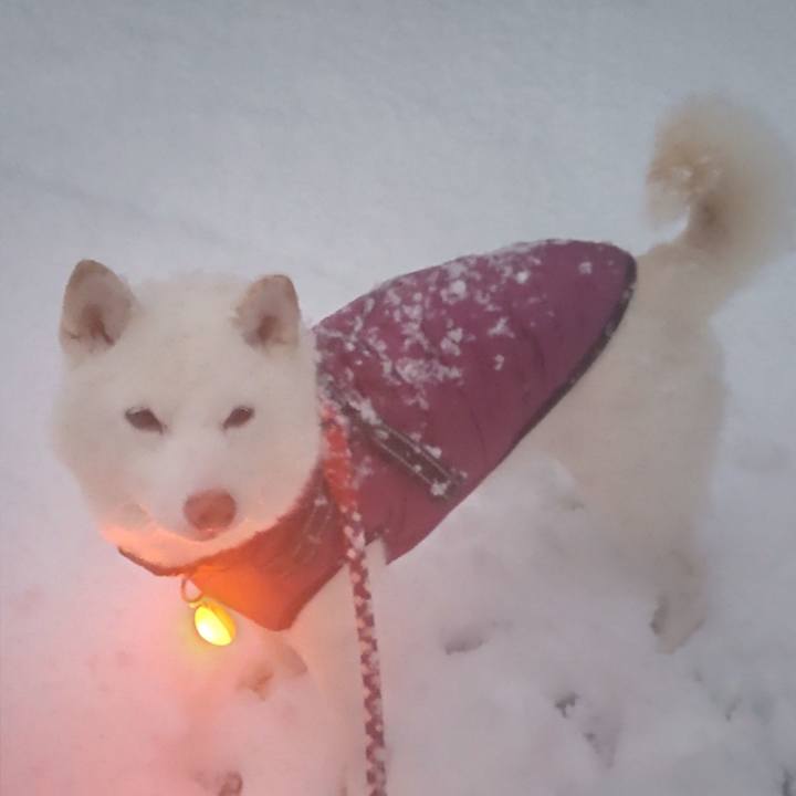 03d67931 99d7 41eb 9096 b6dbeb6f8b44 1671352346463