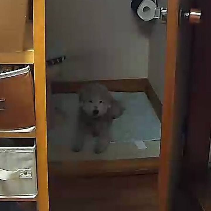 03d68601 c9ea 4d7c a854 c0aa0f098515 1621512908676