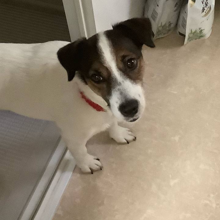 03d69a74 6e73 46c4 a7b2 61a78d526219 1565133841445