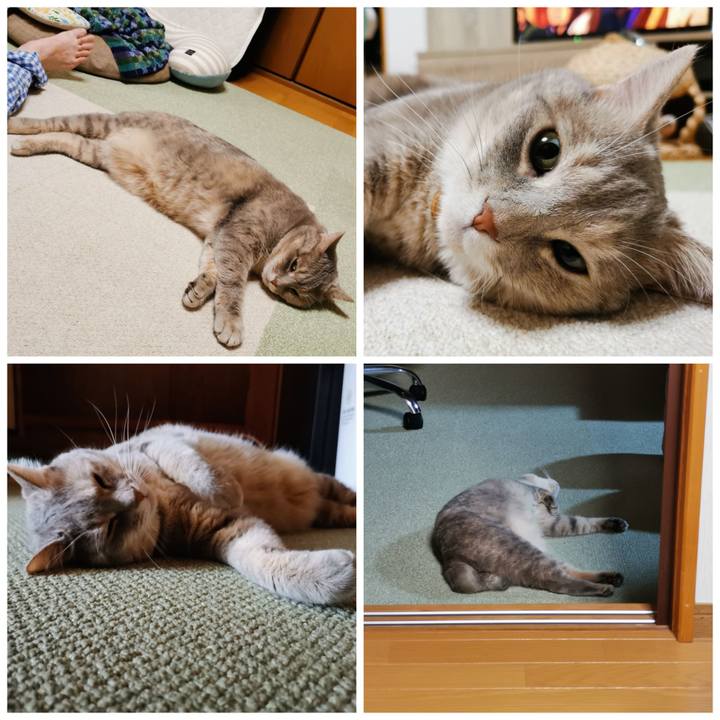 03d6c064 11f7 477f 8af4 0645d4693883 1627878319403