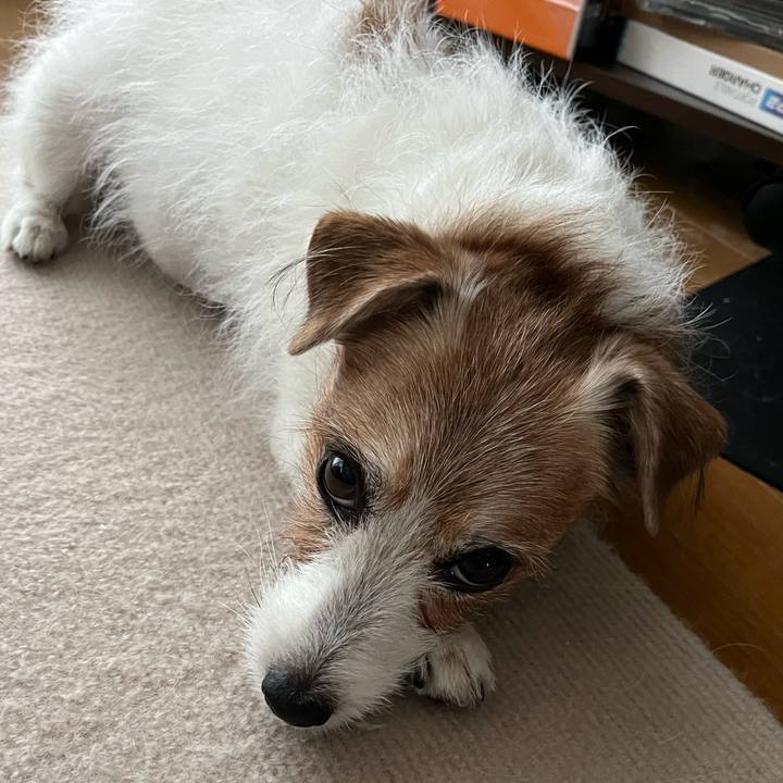 03d6dfcd 27e8 4e9b 989d 96f6d47b6400 1730558018146