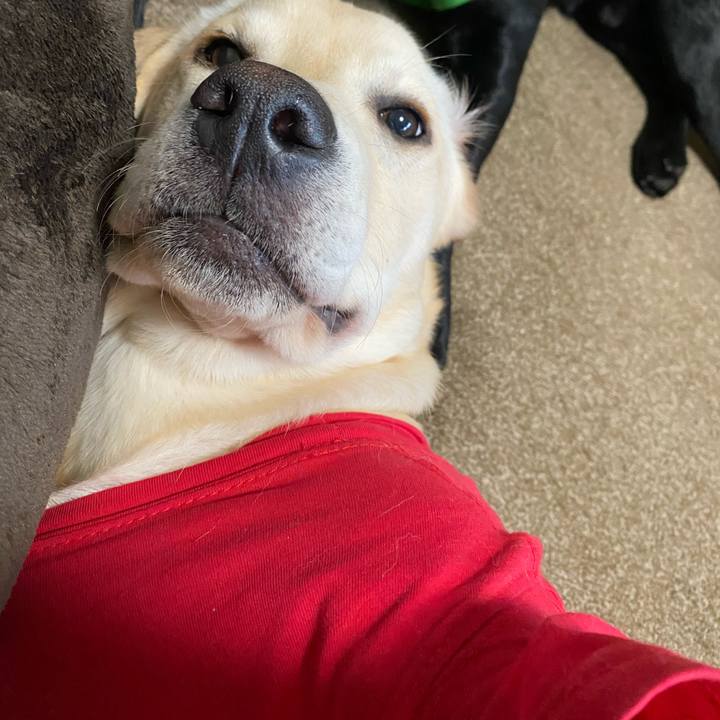 03d6e514 7a25 402e 8d35 7f5f18923ba8 1618531473942