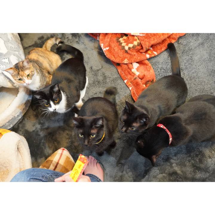 03d6f385 1efd 4340 acd7 612fa1c99635 1607132693286