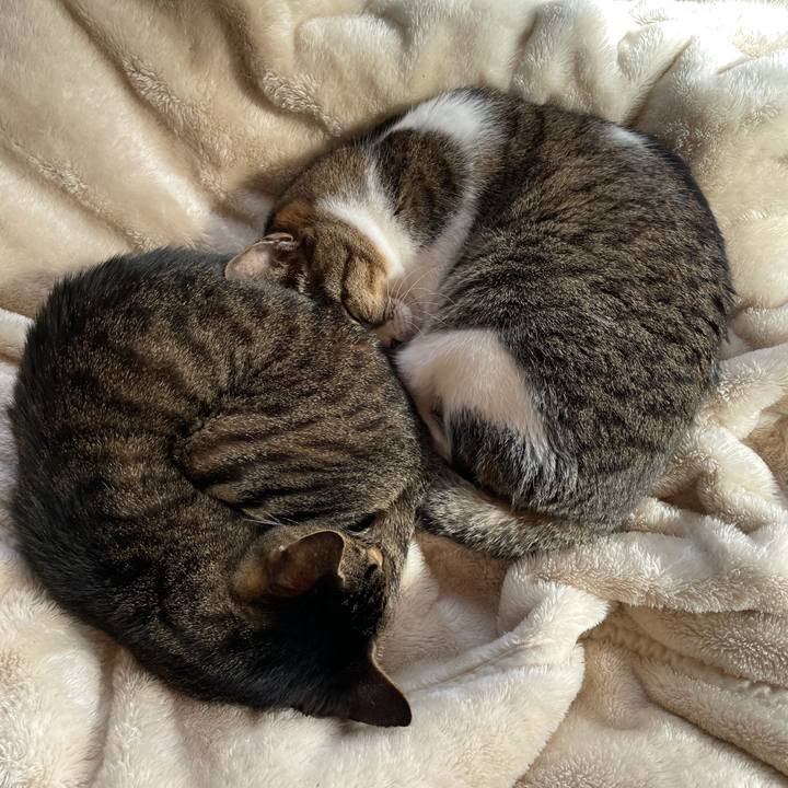 03d712af 723a 4ebd 8108 bccda4ba2668 1609203875820