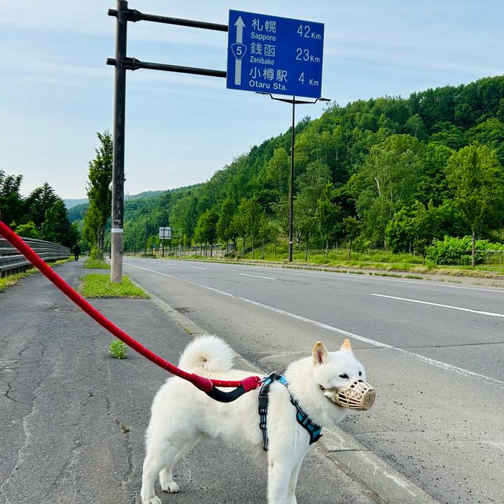 03d74030 0884 4fad aec0 c373b11d4c3c 1718146758505