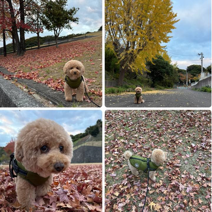 03d775ab 265a 48a6 98d5 a3833e2e2d12 1763592363754