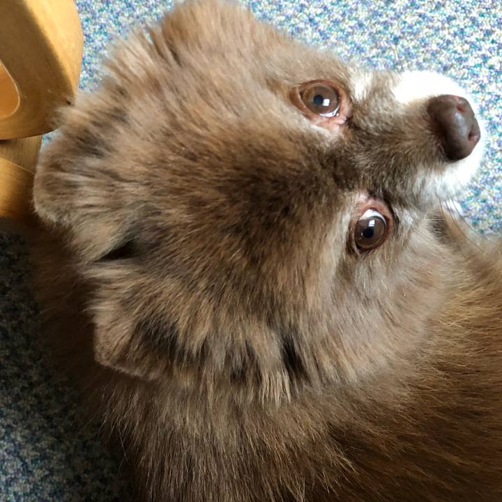 03d7a739 41c9 463d 89b4 4e9f26d3db68 1546989830083