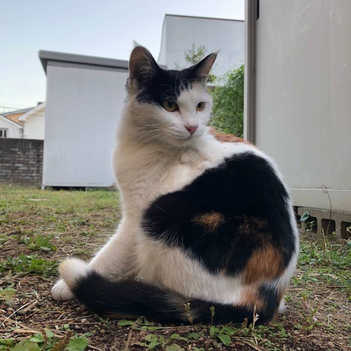 03d7afb9 843d 4419 84e2 268863551632 1605047694031