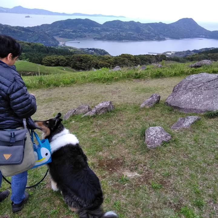 03d7ba34 3f85 4eb0 a8cd 721cbecb69b7 1556509250716