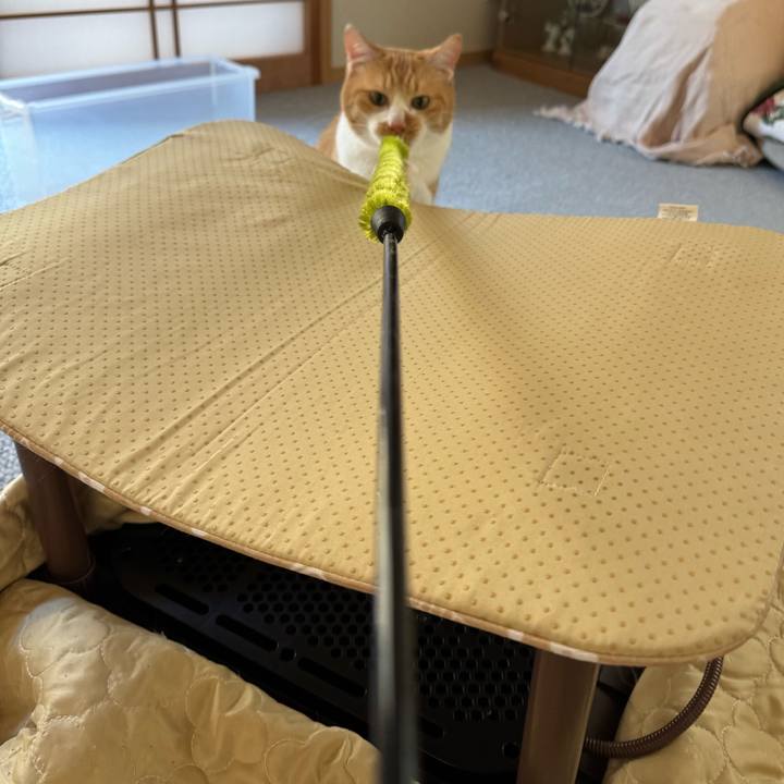 03d7d25d ca31 4664 9099 739b70f11664 1768183906214