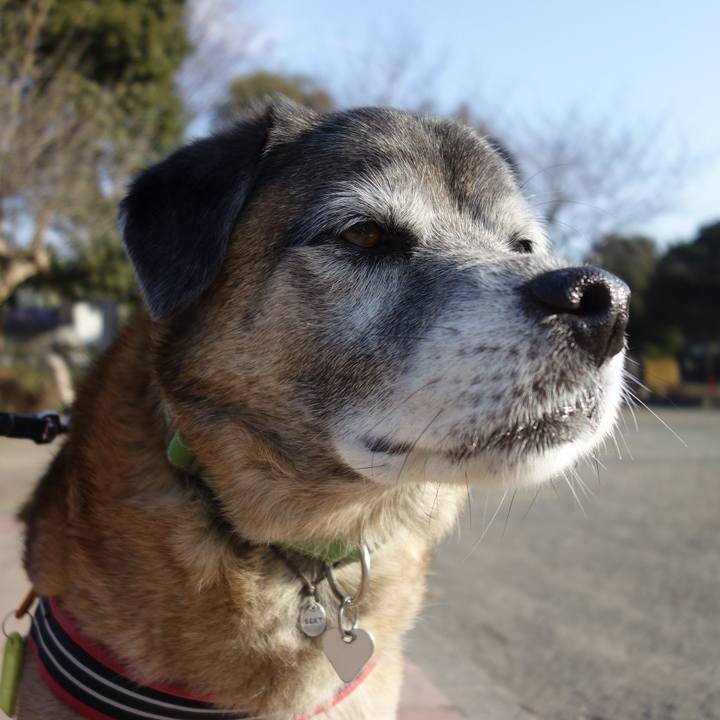 03d7e29b 1f75 48d1 a1d1 86ed3b707ef9 1658621909292