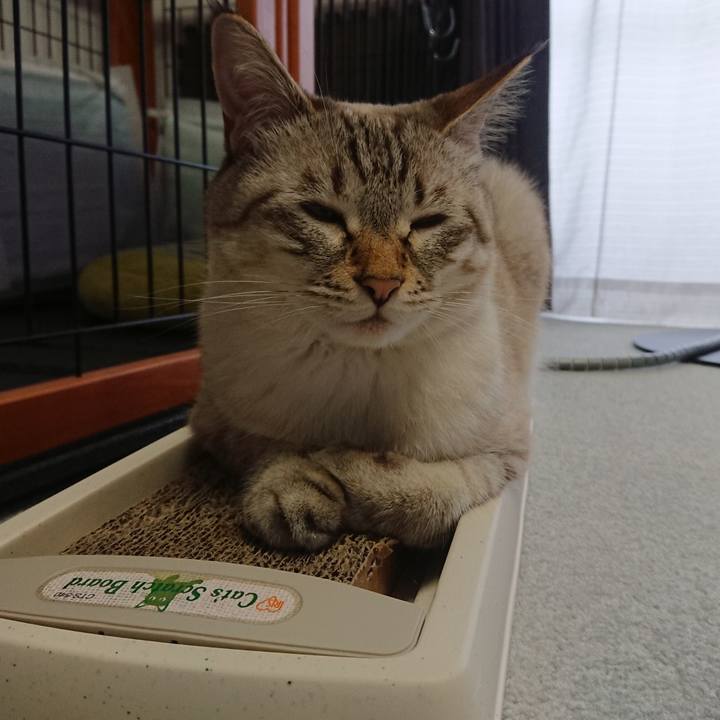 03d7ee0b 9000 4e0c ad48 cc74f9d461de 1601794179959