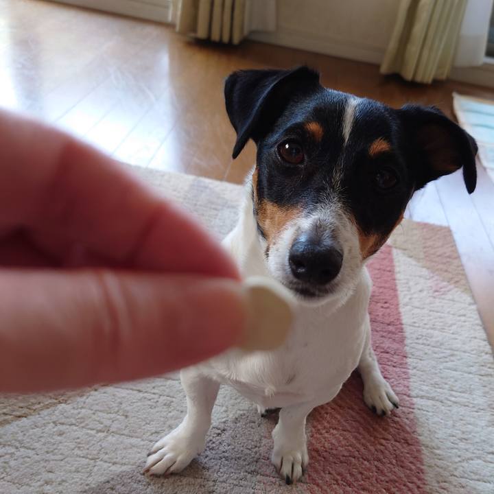 03d83e9e 86e1 4bb9 be01 e51132ea9b88 1688353790714