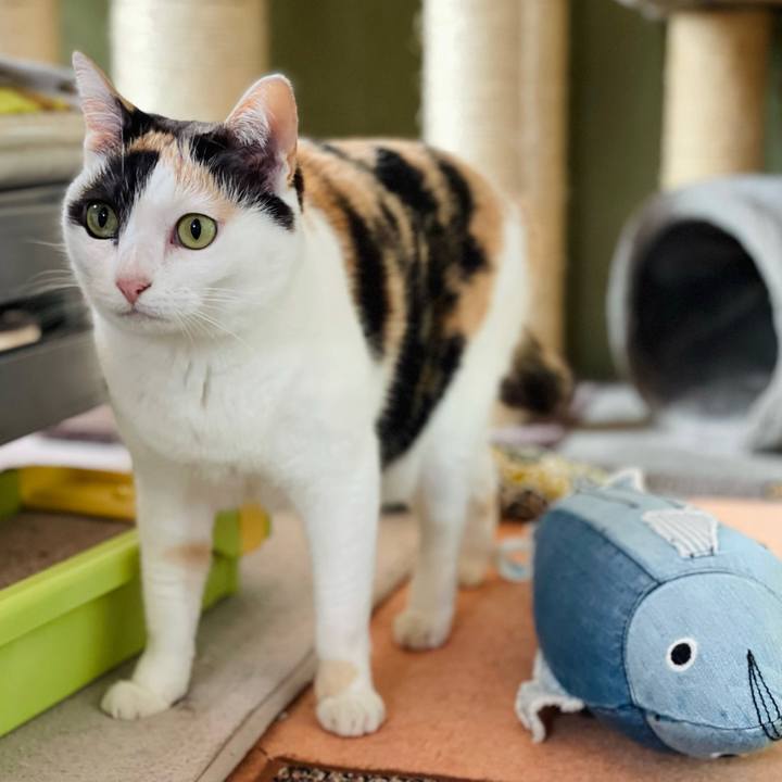 03d855dd 68ee 4808 981f 1b0c368780e7 1621388538889