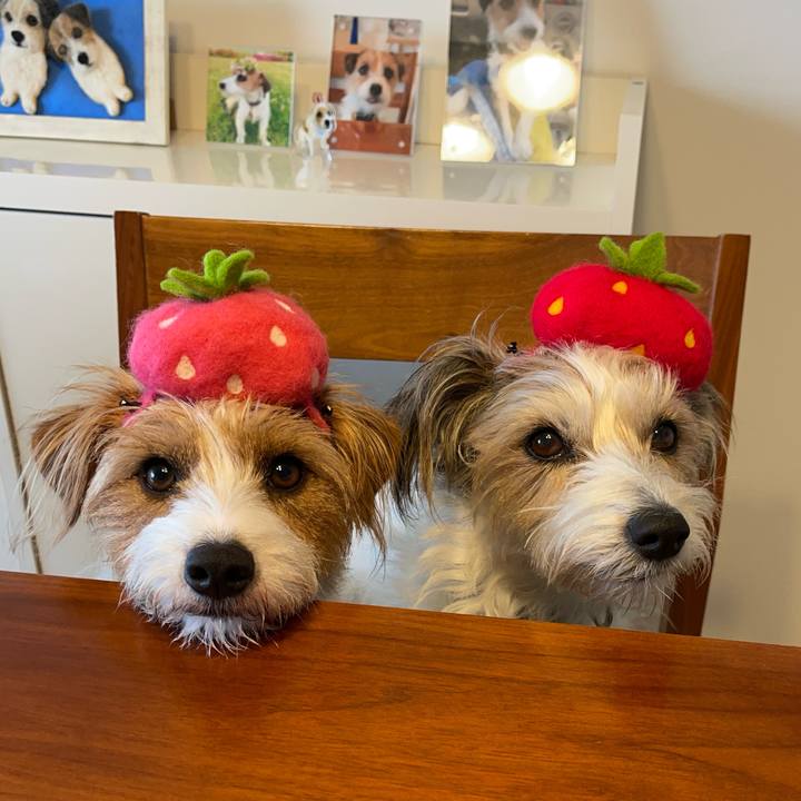 03d85e3c 9628 4bad b978 57e34cdc540d 1768460413762