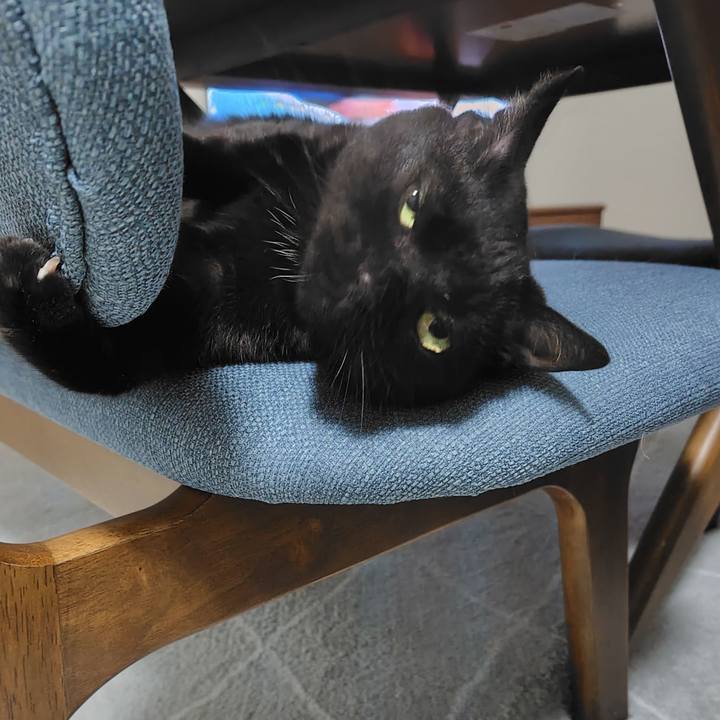 03d88745 8c14 49be a1a0 f76b292976aa 1715773762982