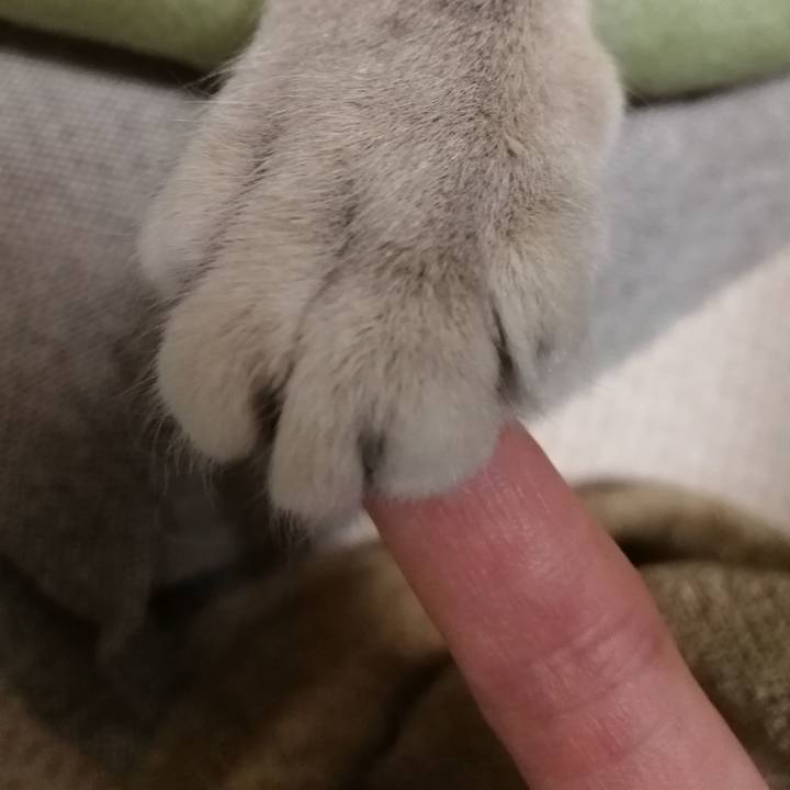 03d8bf3a 2750 4863 9d1a 41ea142d1c9a 1520118657494