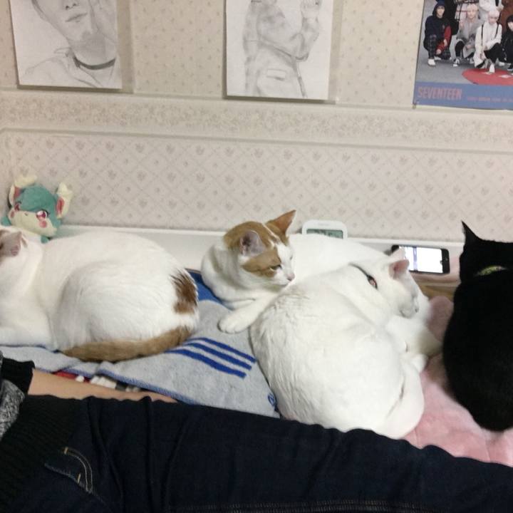 03d8cfce 8bff 477d afb2 9345b0d79ae7 1543490938374