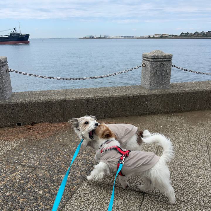 03d90e5d 3c77 4357 9077 1345ab68b155 1773663756964