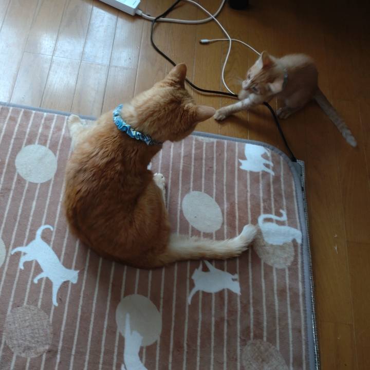 03d934f6 6a01 41cc b17c b5e9168324bd 1670645991147