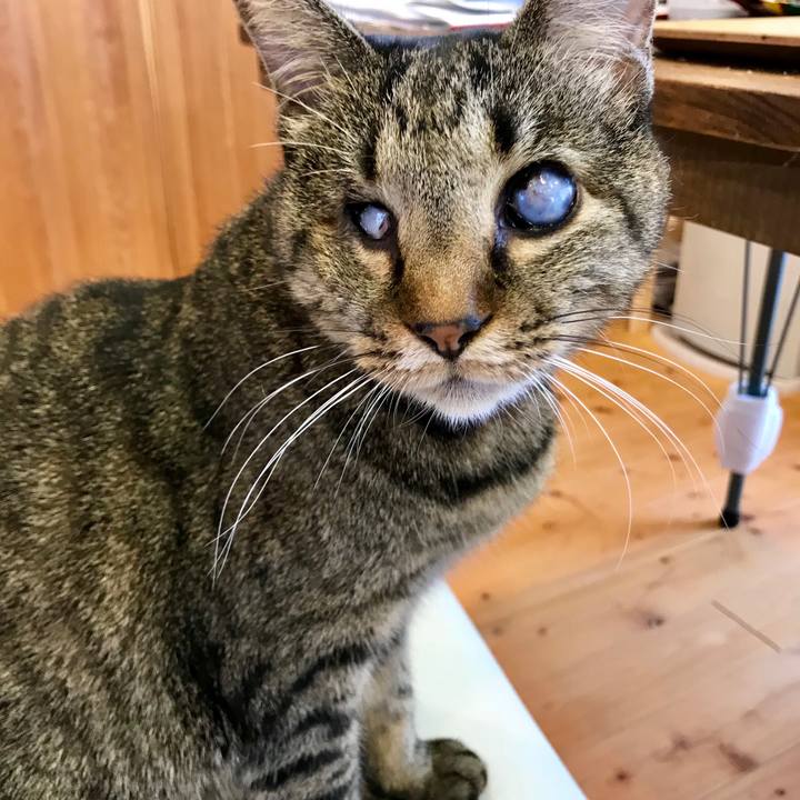 03d96191 55a1 4ad0 8dff 207897215b0c 1541906974531