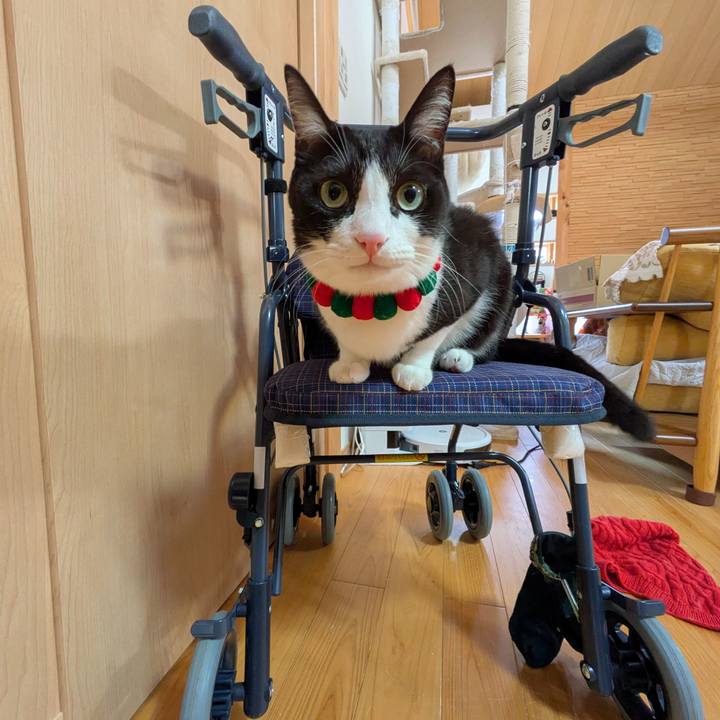 03d96ce9 a9b9 4290 a541 8826d676d2b0 1763951580557