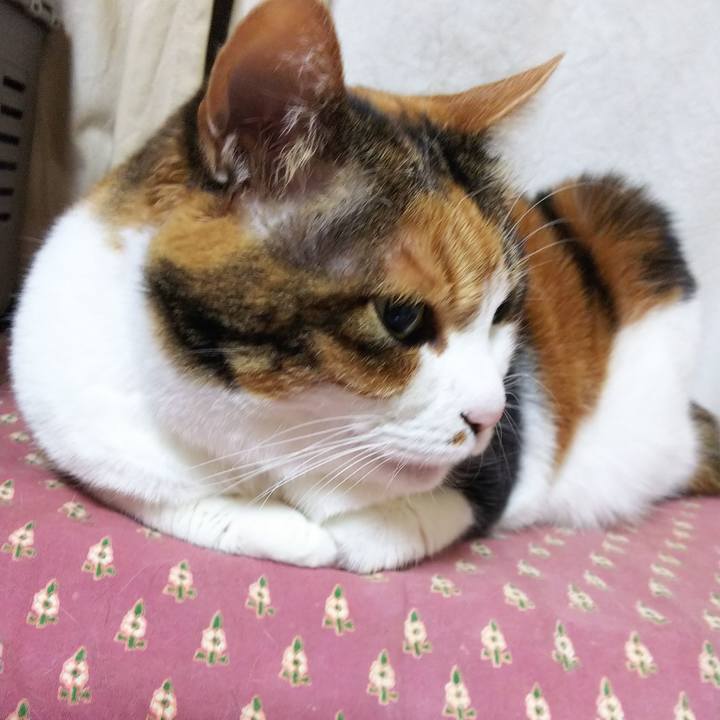 03d99a1f 07c9 4825 910b 6d722ed181be 1546897822347