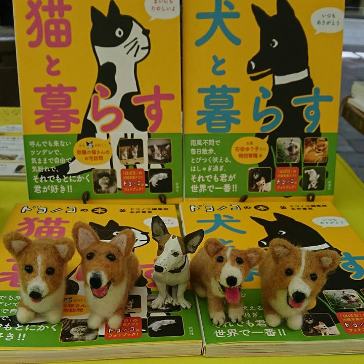 03d9ad74 e05c 4127 a758 7bb30dbb4d75 1555762399143