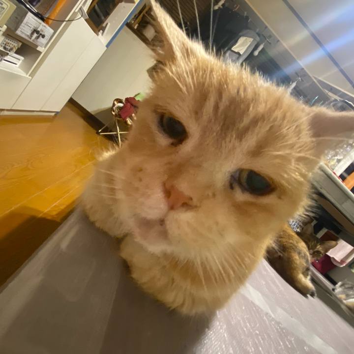 03d9d0a3 89b3 4561 a3cd 02f1b34935c7 1622295783778