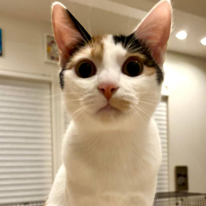 03d9dc8f 58a7 404a 8f08 058db08ee857 1765118553448