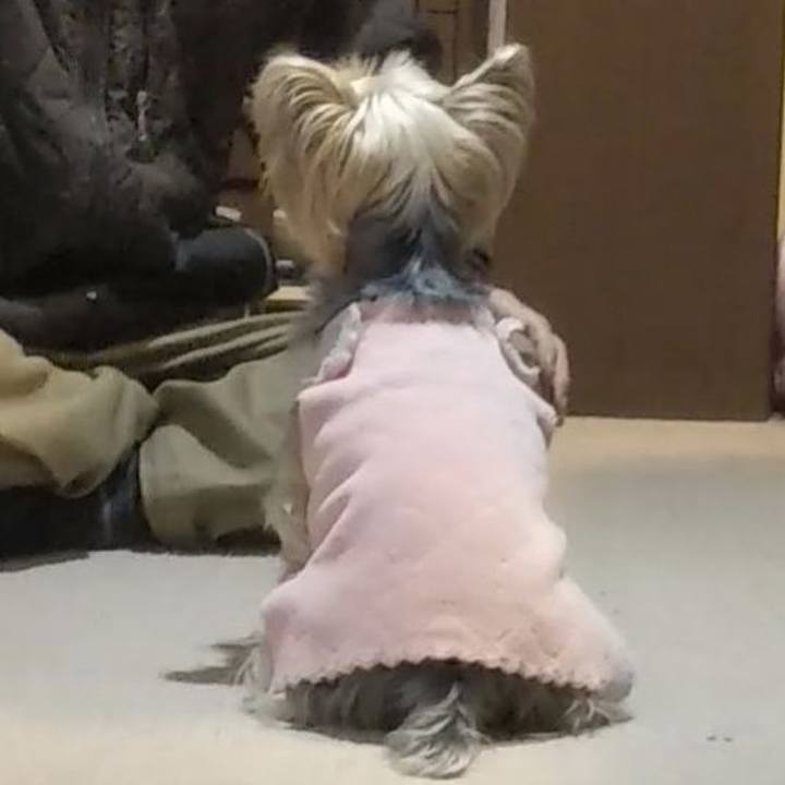 03d9df67 2696 468a a609 380232b28419 1706610105899