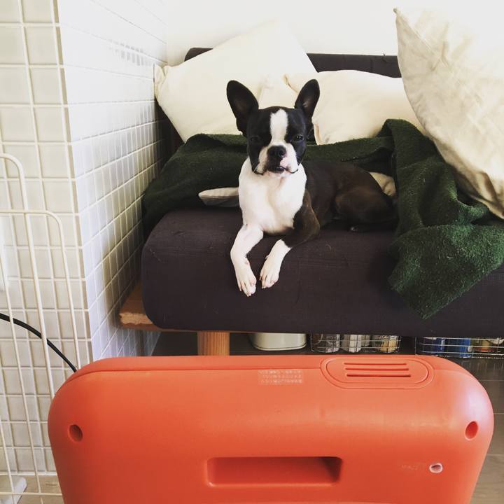 03d9e356 50cf 4376 bedb 1a747f1b7d6c 1513754870163