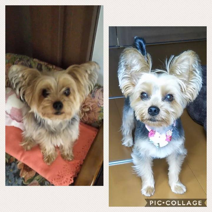 03d9ea30 8cd9 4b61 9f75 9c9298fede3e 1591939753449