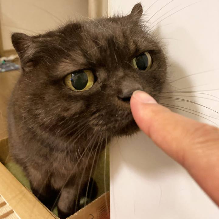 03d9fd37 fbde 403d bb06 abdb384f9ac5 1635353408649