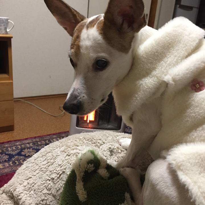 03da3466 327c 435a 948c 0d6f7940428f 1516791407809