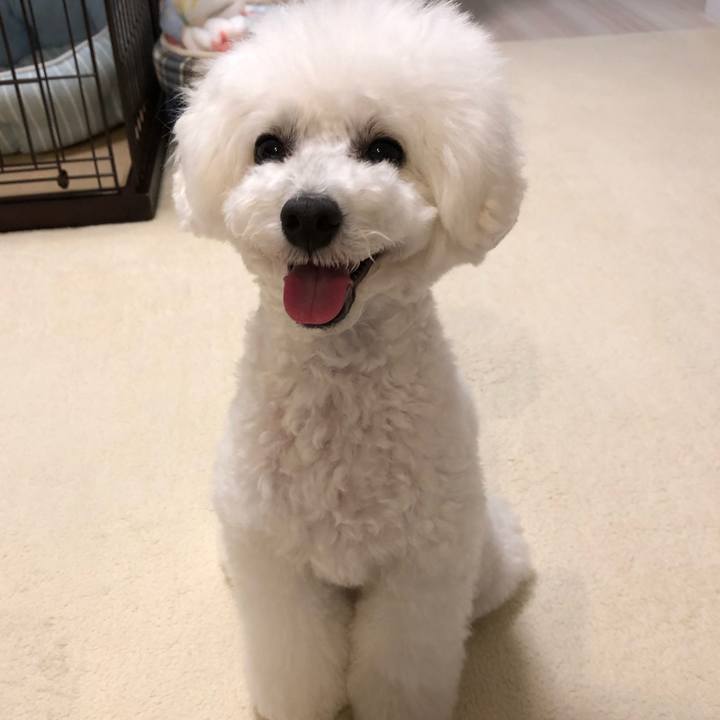 03da3c12 d58d 4673 b9bd f7be213b7646 1565945682324