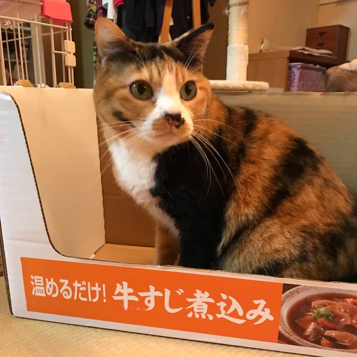 03da736e 6d79 4bae a239 2942a8ca32ea 1577367656580