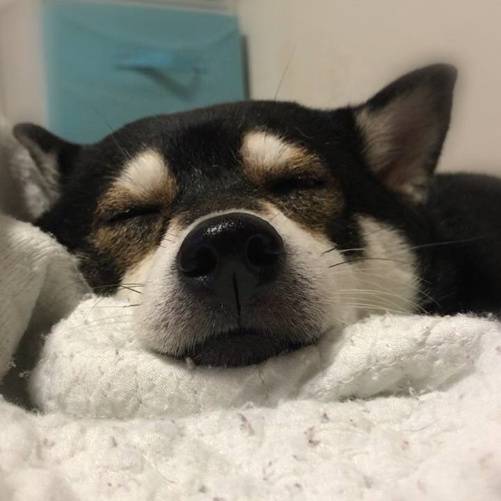 03da87d7 7b84 4209 b29d 72fbf1b5169f 1583815504959