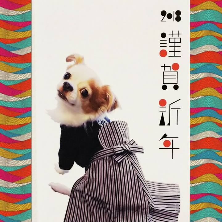 03daaab7 e588 4205 8d0f 385ad3851c27 1514765419705