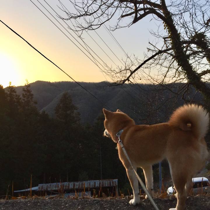 03daab80 db96 44e3 94e4 6cae86f659ea 1514882143346