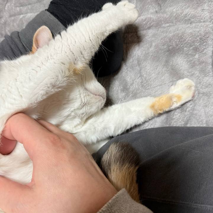 03daac04 2d50 4c73 8731 ec8ea209f6ee 1771132250818