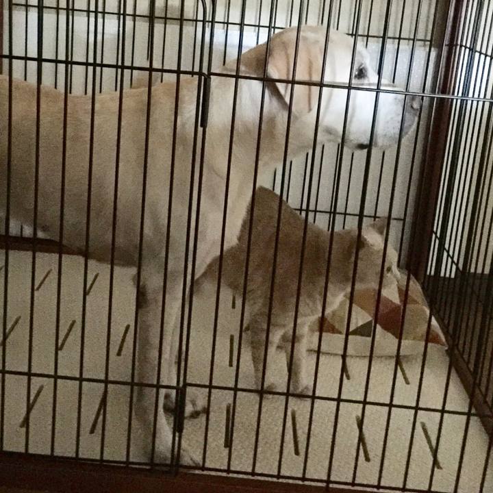 03dac1a6 80d3 44ca 9b4f 6325d1f840be 1541160733786