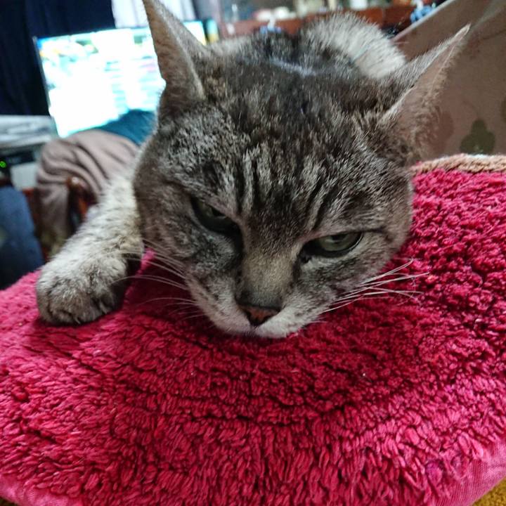 03dac493 f33d 4f03 81c9 50674c9f416b 1554195148215