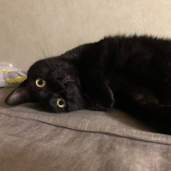 03dae741 71c2 4b98 86e4 4195fd97dec9 1565825043912