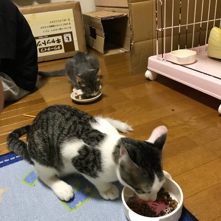 03daffd0 a148 4590 96f1 9c6b83e7c416 1533730344656