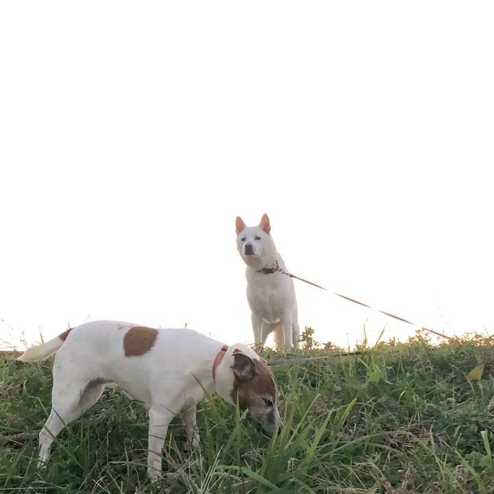 03db0f3d fa33 4fac 8103 8afac1408c3a 1576401258639