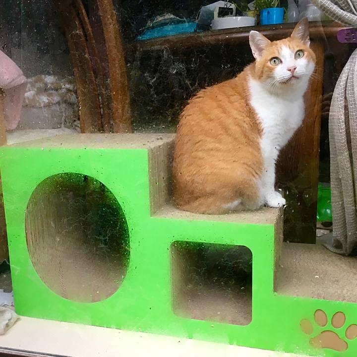 03db10bf 5398 4bed 8556 b9b1969799f7 1603228948985